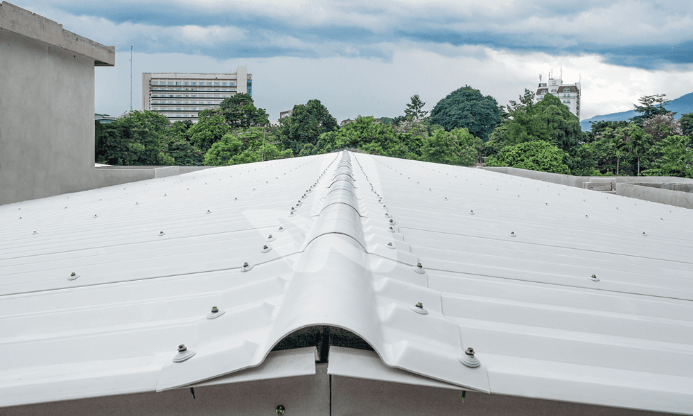 Galeri Alderon Nusa Tenggara Februari 2026